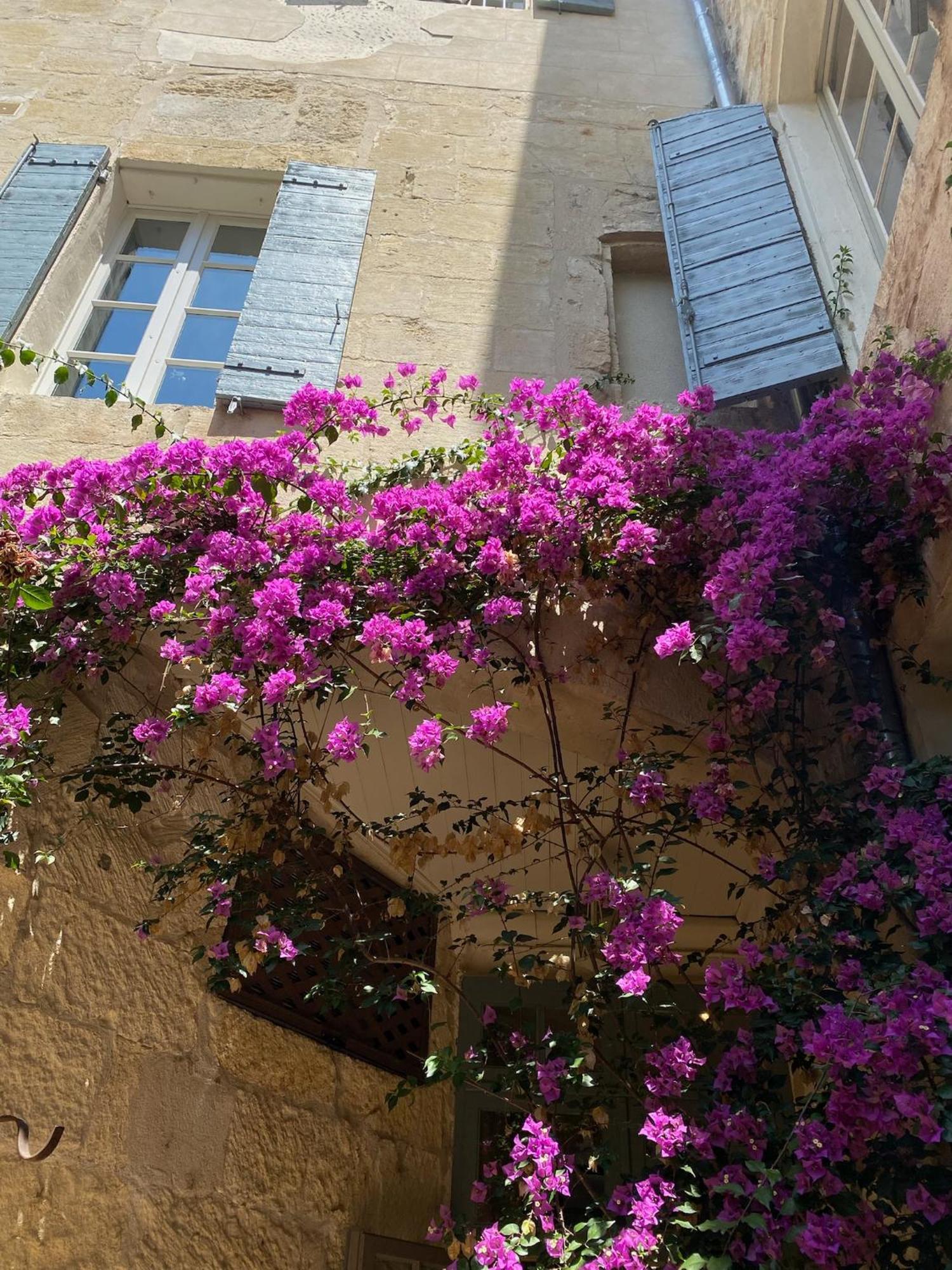 Hotel Du Musee Arles Kültér fotó